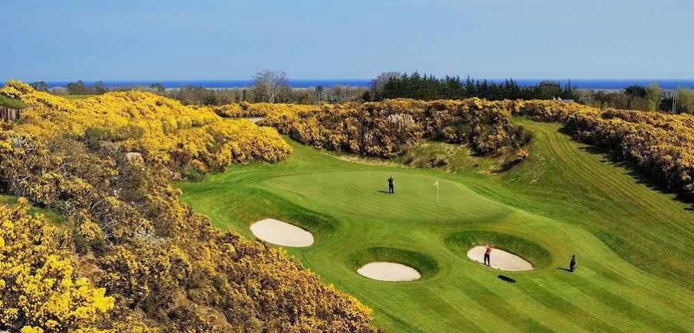 Druids Glen Resort Newtown Mount Kennedy Kültér fotó